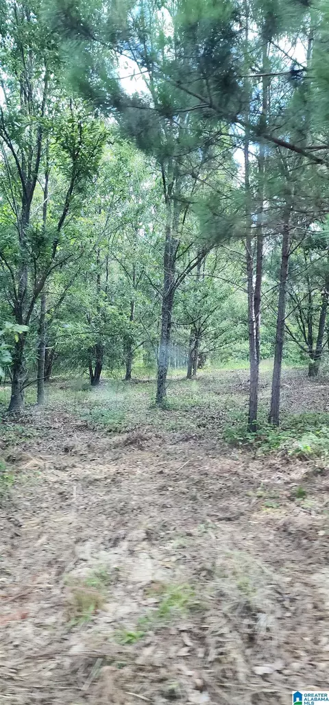 Other - 3606 Hicks Rd, Oneonta, AL 35121 photo 23 of 25