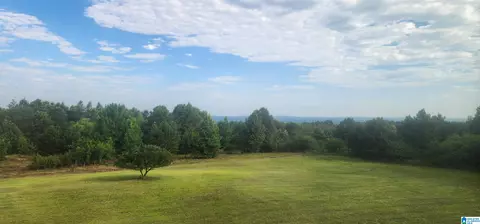 View/Area - 3606 Hicks Rd, Oneonta, AL 35121 photo 1 of 1