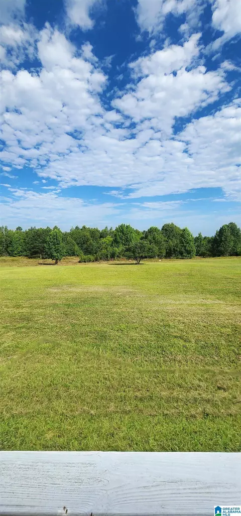 Other - 3606 Hicks Rd, Oneonta, AL 35121 photo 18 of 25