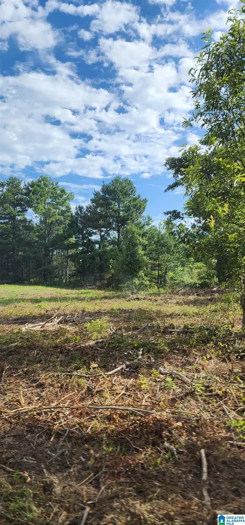 Other - 3606 Hicks Rd, Oneonta, AL 35121 photo 25 of 25