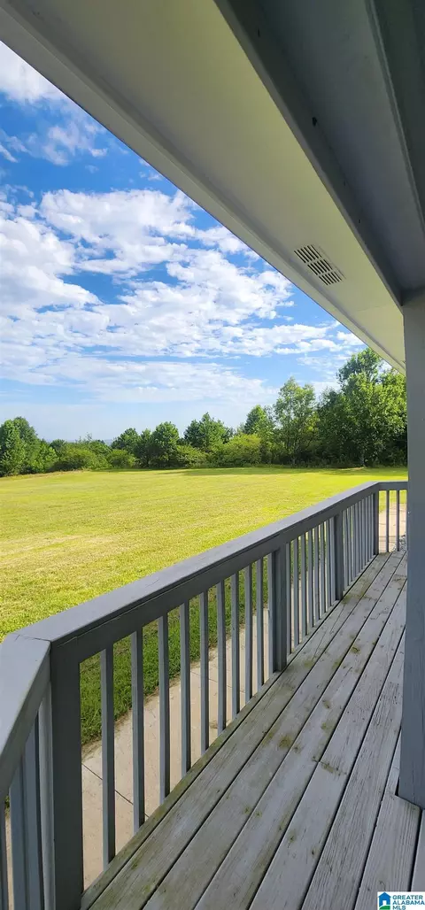 Exterior - 3606 Hicks Rd, Oneonta, AL 35121 photo 5 of 6