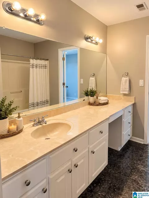 Bath - 3606 Hicks Rd, Oneonta, AL 35121 photo 4 of 4