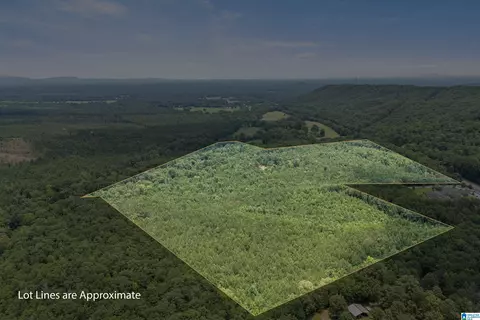 23035 Highway 25 #1, Columbiana, AL 35051