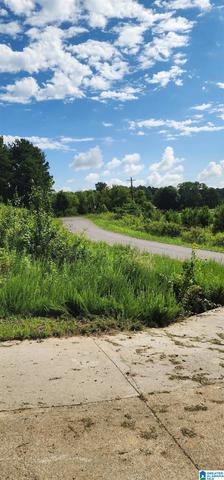 0 Hicks Rd #0, Oneonta, AL 35121