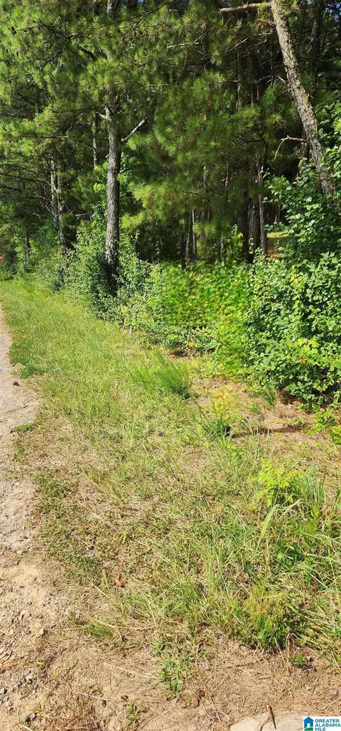 lot0 Hicks Rd #0, Oneonta, AL 35121