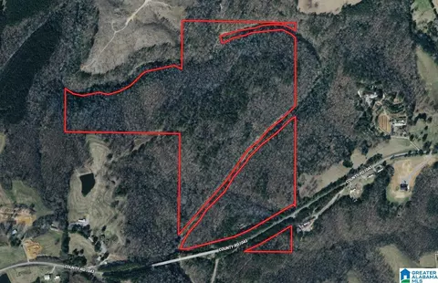 91 Acres County Road 1043 #91 ACRES, Vinemont, AL 35179