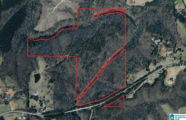 91 Acres County Road 1043 #91 ACRES, Vinemont, AL 35179