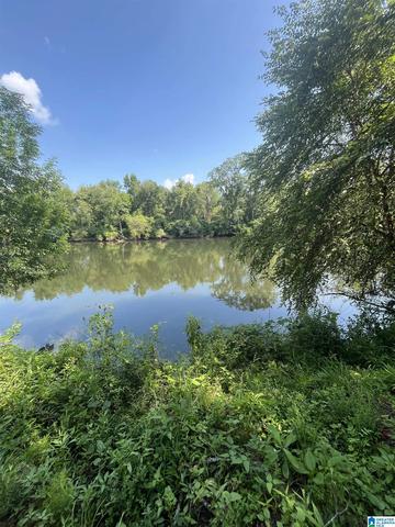 1856 County Road 849 #0, Wadley, AL 36276