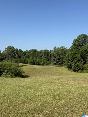 0 County Road 450 #0, Fruithurst, AL 36262