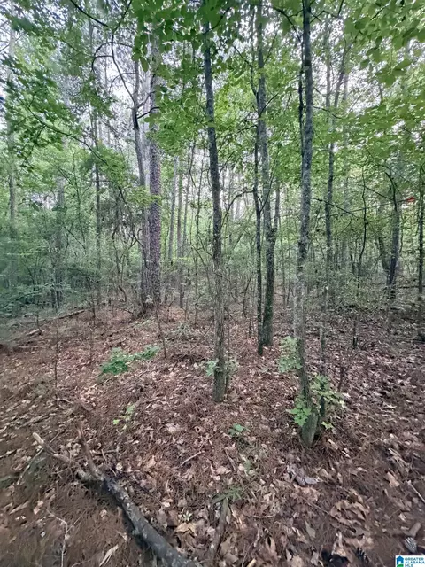 0 Highway 55 #2, Sterrett, AL 35147