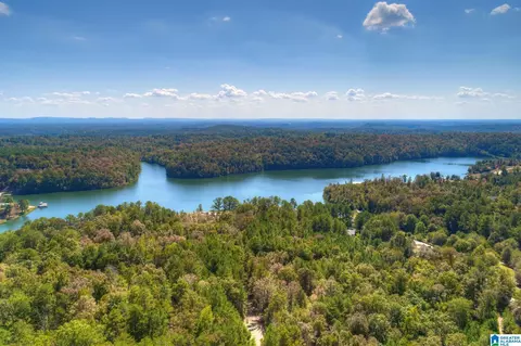 View/Area - 325 Turtle Dove Rd, Warrior, AL 35180 photo 1 of 5