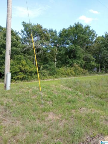 195 Hyram Rd #0, Seale, AL 36875