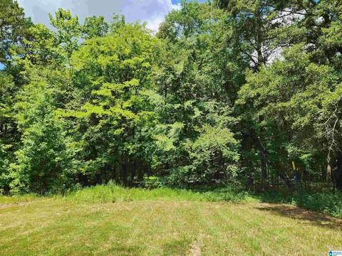 Other - 2262 Smokey Rd, Alabaster, AL 35007 photo 9 of 11