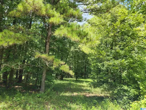 Other - 2262 Smokey Rd, Alabaster, AL 35007 photo 11 of 11