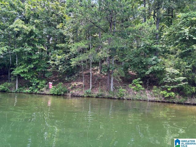0 Robin Dr #45, Wedowee, AL 36278