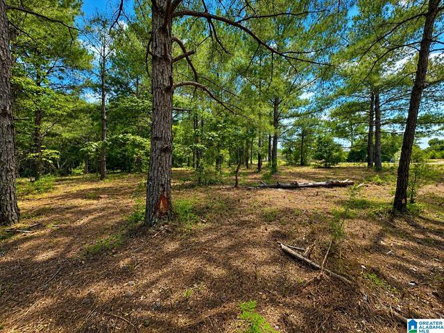 0 N County Road 21 N #NA, Prattville, AL 36051