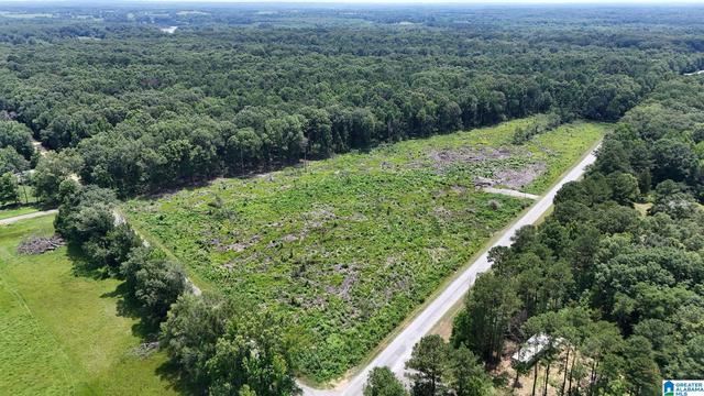 0 County Road 16 #0, Greensboro, AL 36744