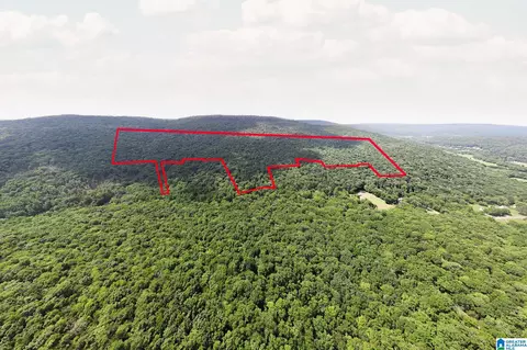 0 Hurricane Rd #00, New Market, AL 35761