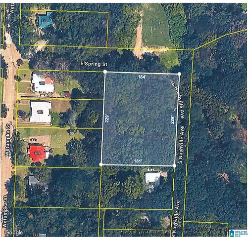 00 E Spring St #A1, Sylacauga, AL 35150