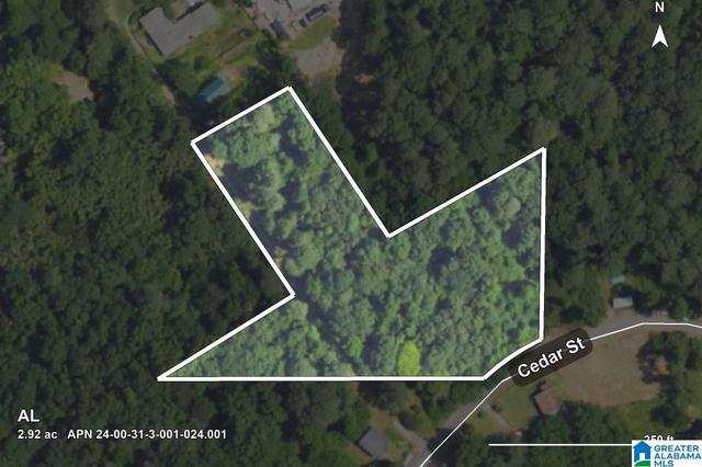 0 Cedar St #-, Birmingham, AL 35210