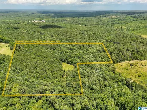 0 Highway 82 #1, Maplesville, AL 36750