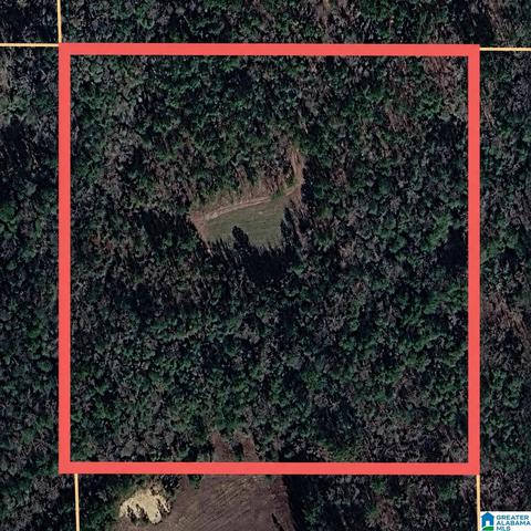 0 Highway 82 #1, Maplesville, AL 36750