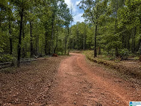 0 Smith Mill Rd #2, Delta, AL 36258