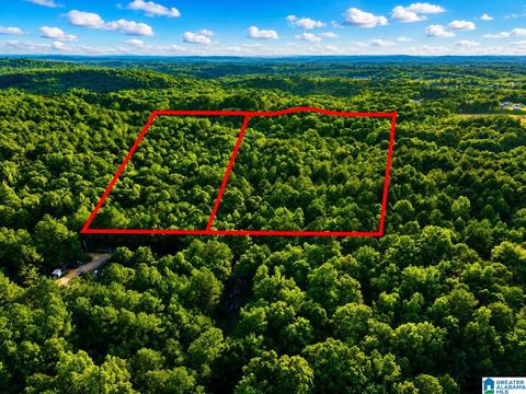 tbd Penny Ln #54, Odenville, AL 35120
