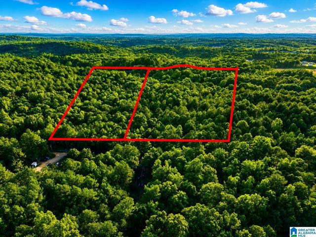 Off of Penny Lane #54, Odenville, AL 35120