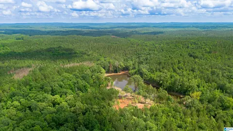 vineyard road, Fruithurst, AL 36262 photo 18