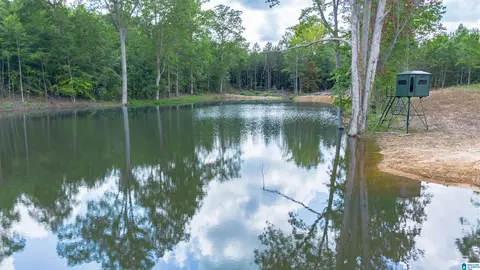 vineyard road, Fruithurst, AL 36262 photo 14