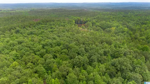 vineyard road, Fruithurst, AL 36262 photo 3