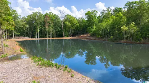 vineyard road, Fruithurst, AL 36262 photo 19