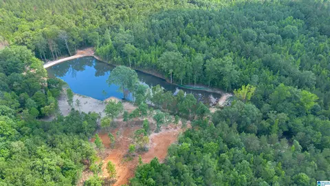 vineyard road, Fruithurst, AL 36262 photo 9