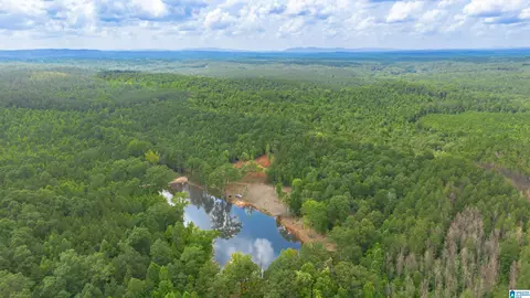 vineyard road, Fruithurst, AL 36262 photo 13