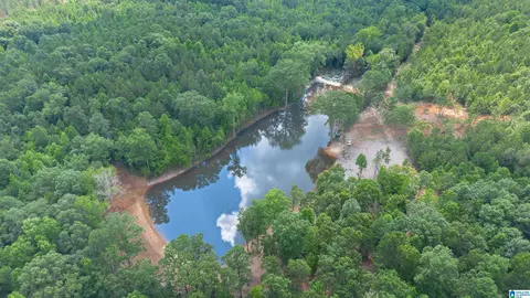vineyard road, Fruithurst, AL 36262 photo 11