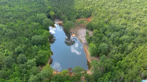 vineyard road, Fruithurst, AL 36262 photo 12