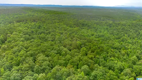 vineyard road, Fruithurst, AL 36262 photo 6