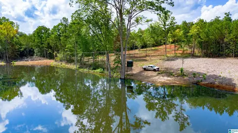 vineyard road, Fruithurst, AL 36262 photo 21