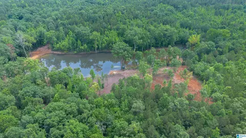 vineyard road, Fruithurst, AL 36262 photo 5