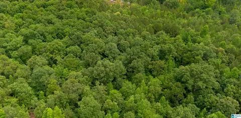 vineyard road, Fruithurst, AL 36262 photo 5