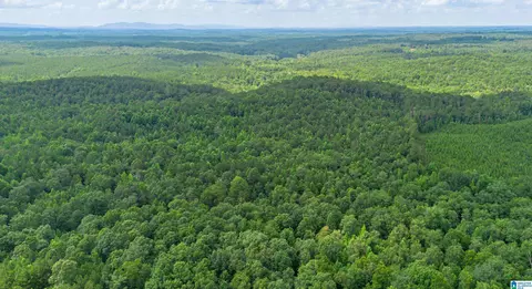 vineyard road, Fruithurst, AL 36262 photo 2