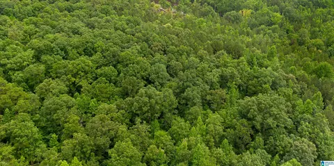 vineyard road, Fruithurst, AL 36262 photo 4