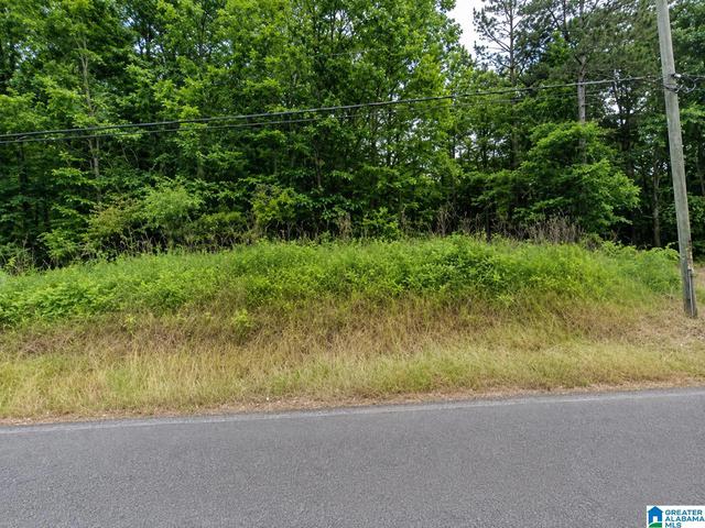 4750 Kelly Creek Rd #NW/4 27-16-2, Odenville, AL 35120