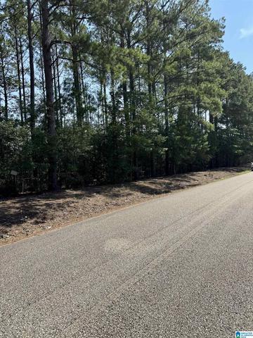 0 Center Hill Rd #0, Childersburg, AL 35044