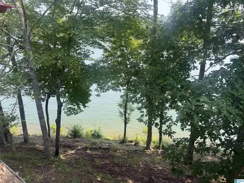 372 Pope Ln, Wedowee, AL 36278