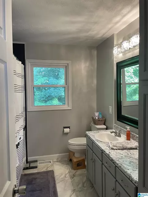 Bath - 161 Spring Trl, Warrior, AL 35180 photo 1 of 3