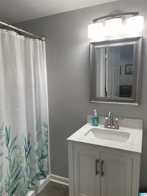 Bath - 161 Spring Trl, Warrior, AL 35180 photo 3 of 3
