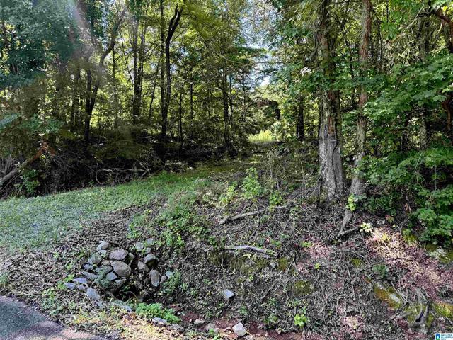 731 Merrellton Rd #0, Jacksonville, AL 36265