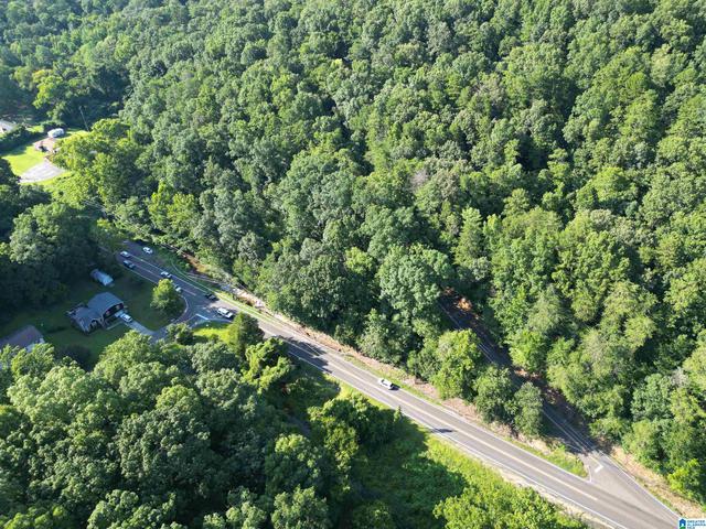 3101 Sweeney Hollow Rd #1, Birmingham, AL 35215